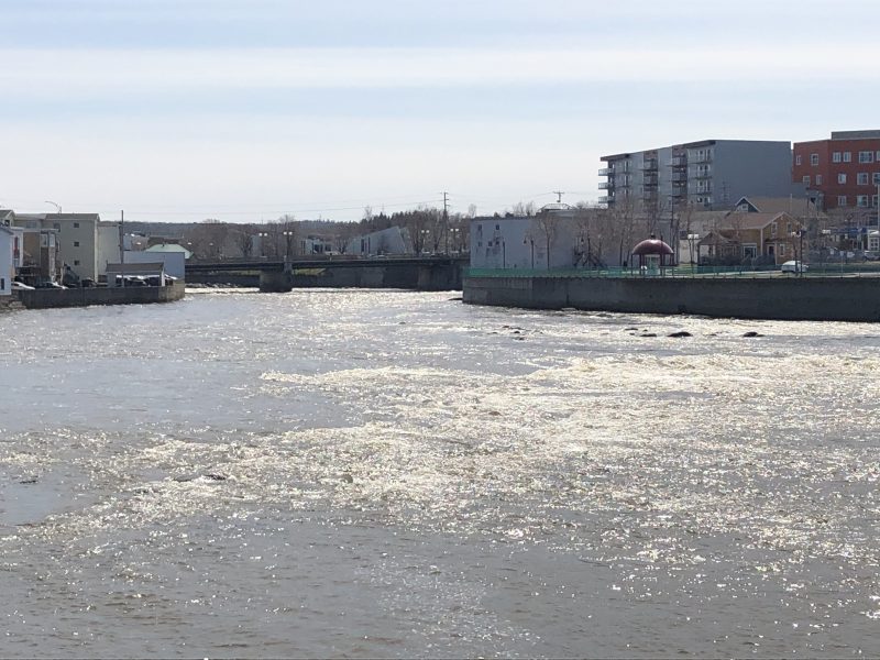 Bon départ pour la campagne « Nourrir notre économie en Matanie »