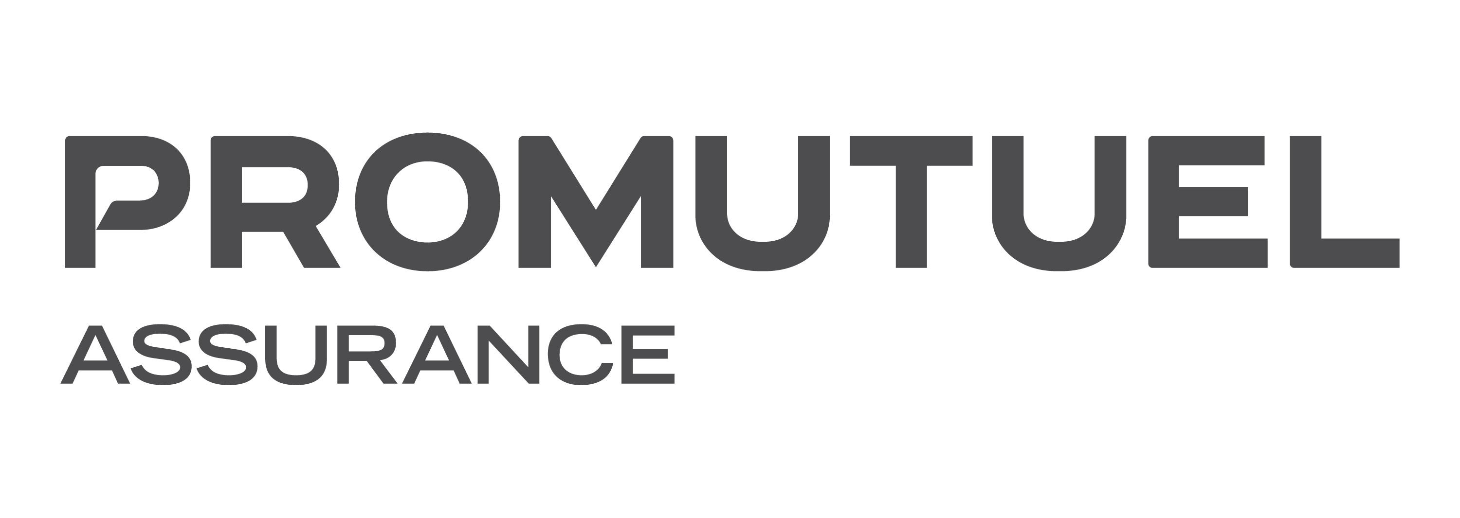 promutuel-assurance-gris Chambre de commerce et d'industrie de La Matanie - Arsenal Media